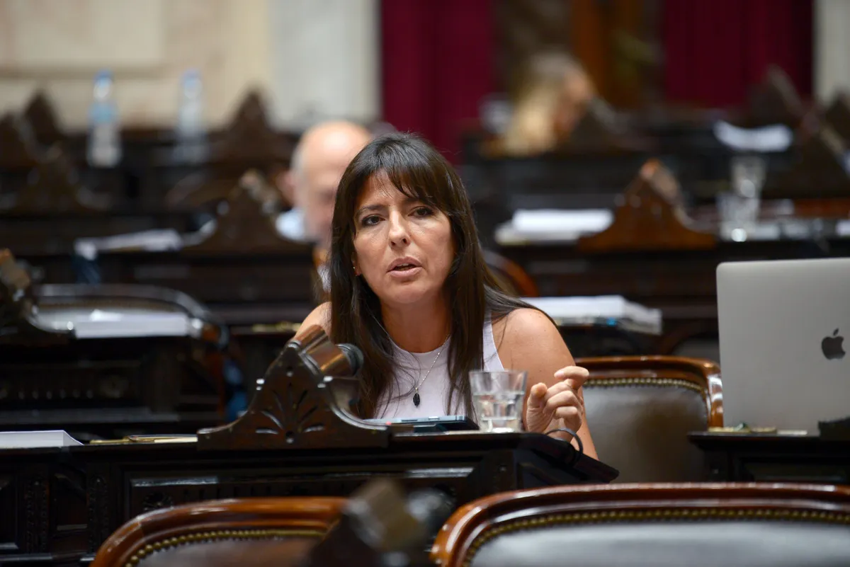 La diputada Pamela Verasay quedó como directora suplente. La diputada Pamela Verasay quedó como directora suplente.